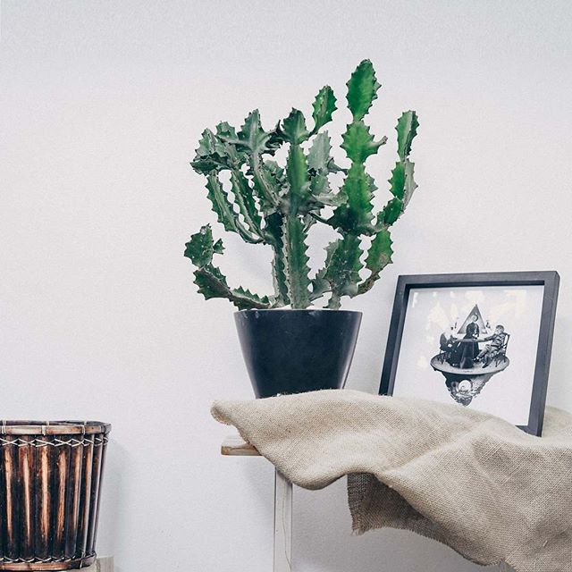 Creat A Stunning Workspace For Your Inspiration