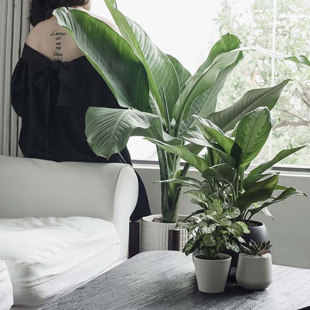 Change For Your Workspace More Fresh