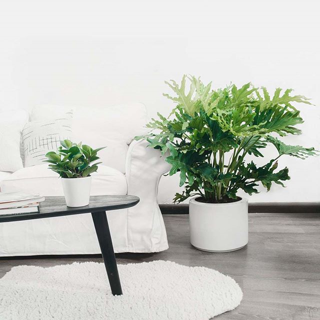 Creat A Stunning Workspace For Your Inspiration