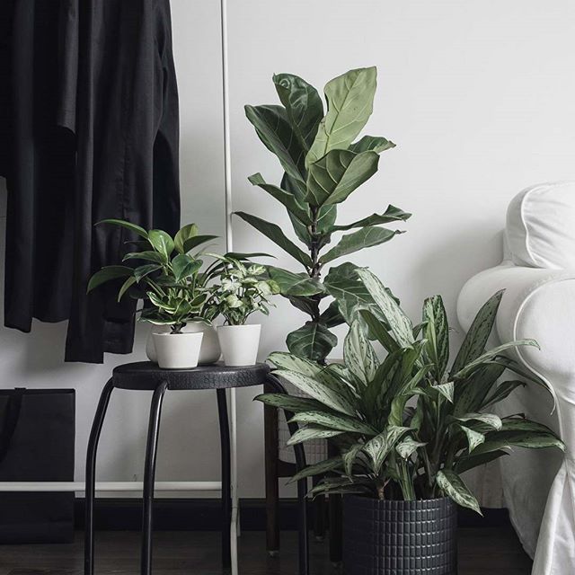 15 Creative Cinder Block Raised Garden Beds